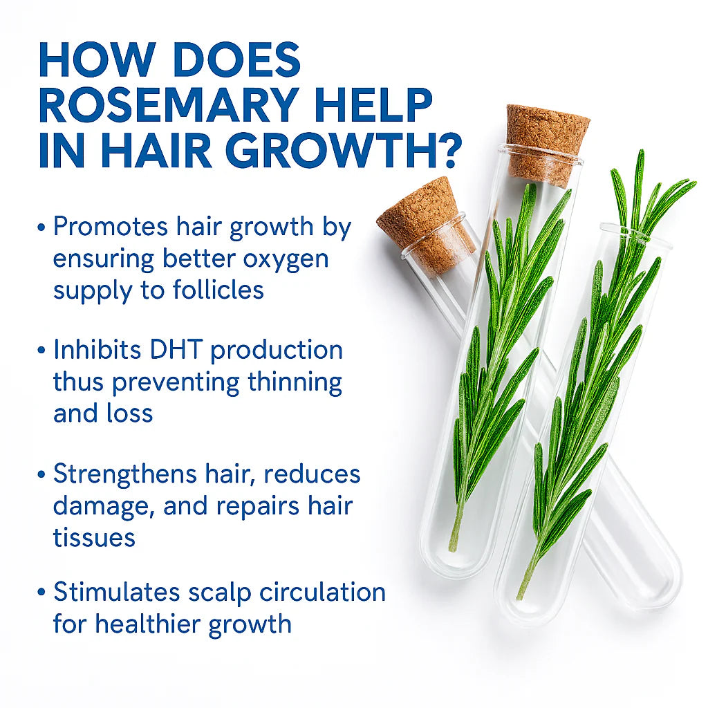 Malora Scalp Serum Roller